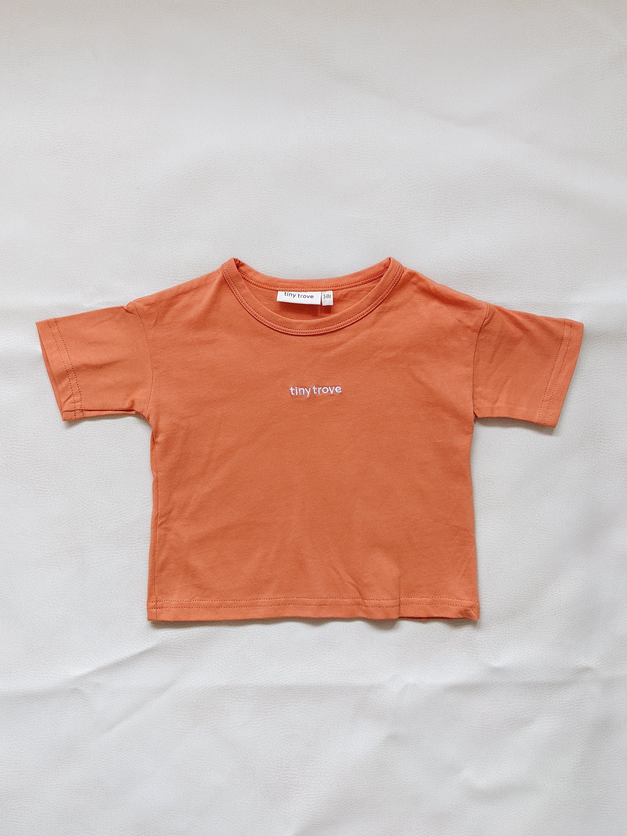 Ambrose Logo Embroidered Tee Burnt Orange White Tiny Trove